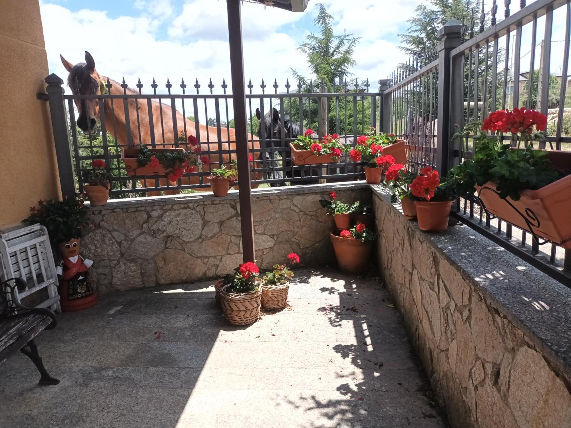 La Artesonada Casa Con Finca Villa Puebla de Sanabria Exterior photo